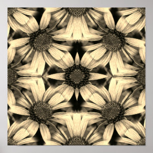 Póster Resumen de Sepia de Daisy Flowers