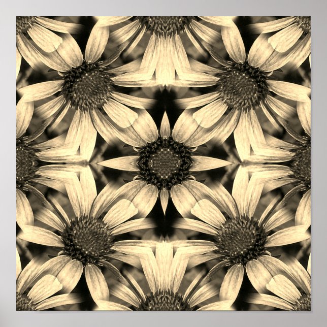 Póster Resumen de Sepia de Daisy Flowers (Frente)