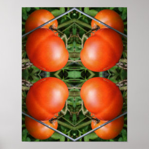 Póster Resumen De Tomates De Jardín Rojo En El Vino
