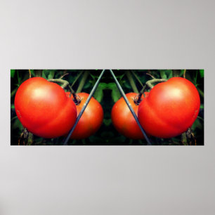 Póster Resumen De Tomates De Jardín Rojo En Espejo Vino