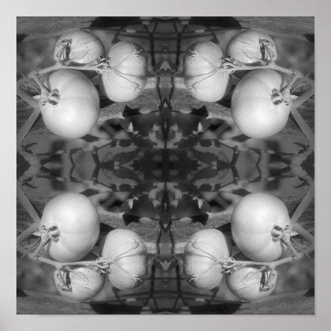 Póster Resumen De Tomates En Blanco Y Negro (Frente)