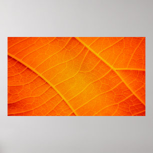 Póster Resumen de un texto de hoja naranja y amarillo
