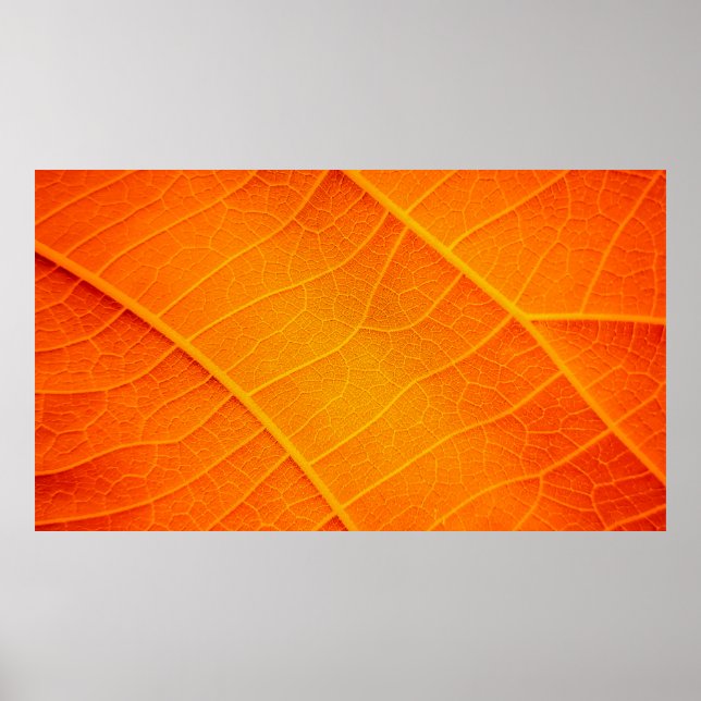 Póster Resumen de un texto de hoja naranja y amarillo (Frente)