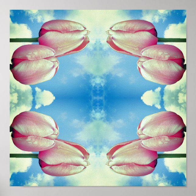 Póster Resumen Del Cielo Azul De Tulipanes Rosa Y Nubes B (Frente)