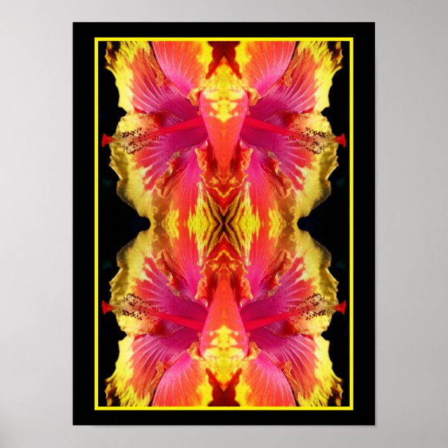 Póster Resumen del cierre de la flor de Hibiscus en bonit (Frente)