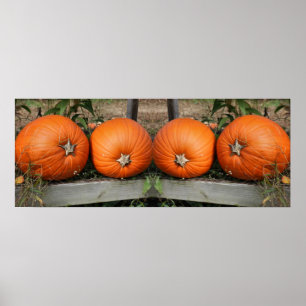 Póster Resumen del espejo de caída del par de calabazas