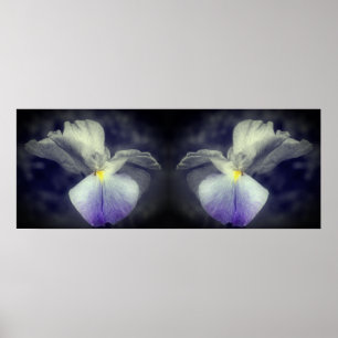 Póster Resumen del espejo de color parcial de la flor Iri