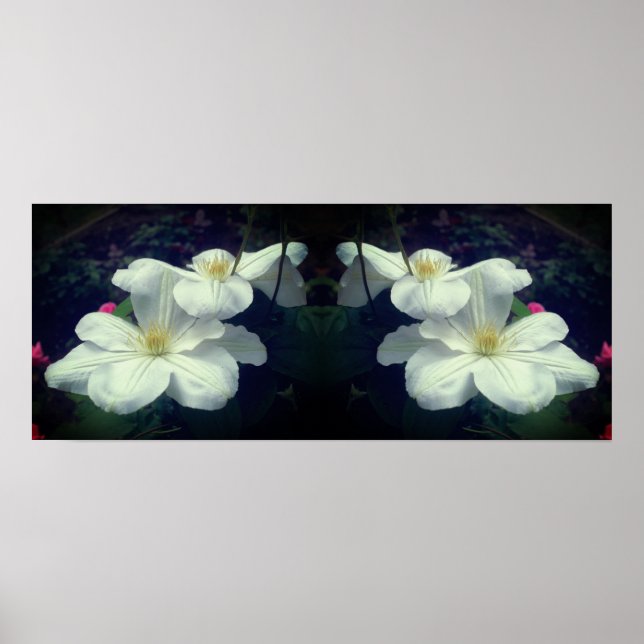 Póster Resumen del Espejo de Flores Blancas Clematis (Frente)