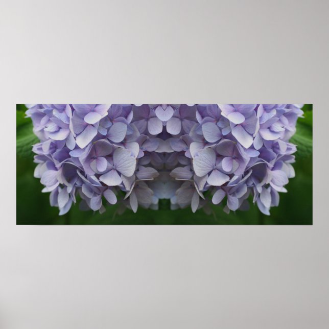 Póster Resumen del espejo de los Petales de Hydrangea Azu (Frente)