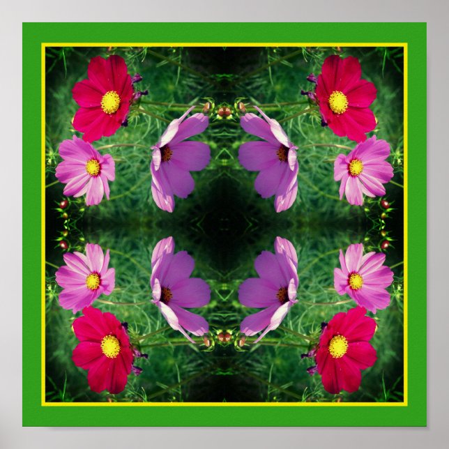 Póster Resumen del espejo del trío de flores Cosmos (Frente)