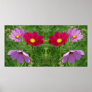 Póster Resumen del espejo del trío de flores Cosmos