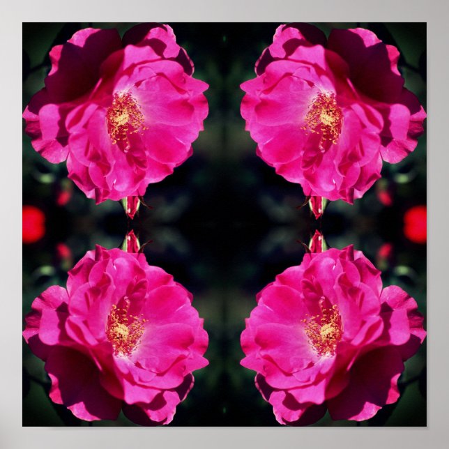 Póster Resumen del espejo Rosa En Bloom Completo (Frente)