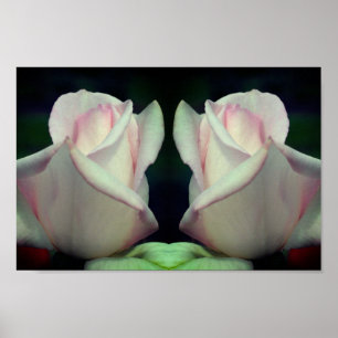 Póster Resumen del Espejo Rosebud Flower Pink
