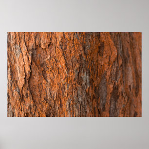 Póster Resumen del fondo de textura de la piel de madera.