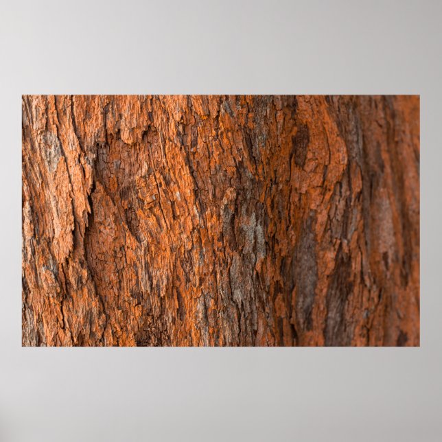 Póster Resumen del fondo de textura de la piel de madera. (Frente)