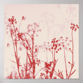 Póster Resumen elegante de floración roja de coral
