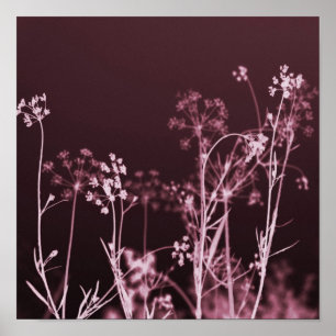 Póster Resumen elegante de la flor roja oscura