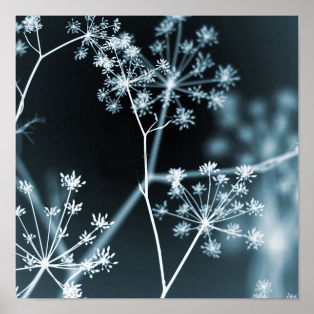 Póster Resumen floral azul oscuro elegante (Frente)