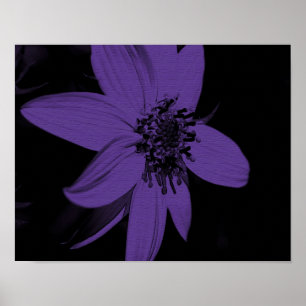 Póster Resumen Floral de girasol morado