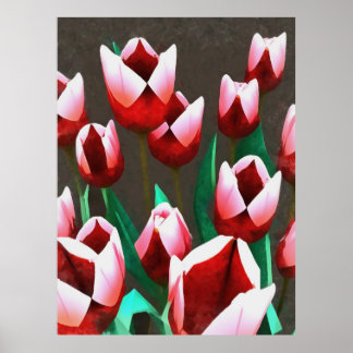 Póster Resumen floral de tulipanes rojos