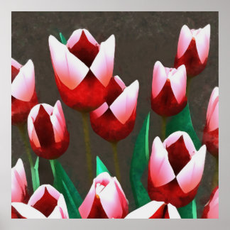 Póster Resumen floral de tulipanes rojos