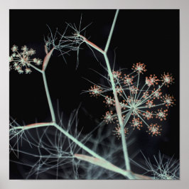 Póster Resumen floral oscuro elegante