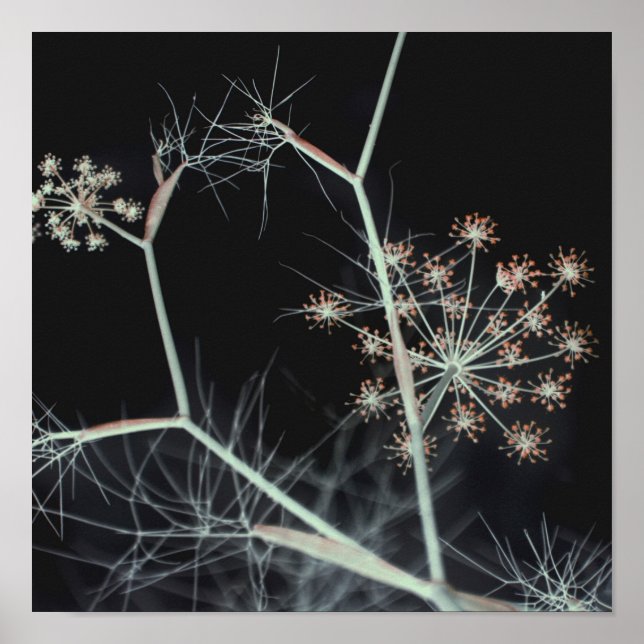 Póster Resumen floral oscuro elegante (Frente)