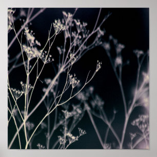 Póster Resumen floral oscuro elegante