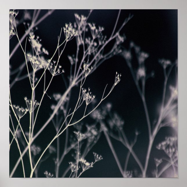 Póster Resumen floral oscuro elegante (Frente)