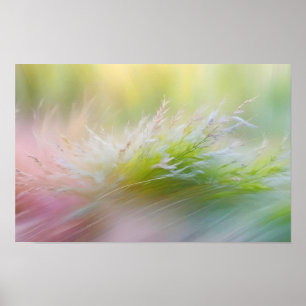 Póster Resumen Flores de Prairie Campo Naturaleza Tranqui