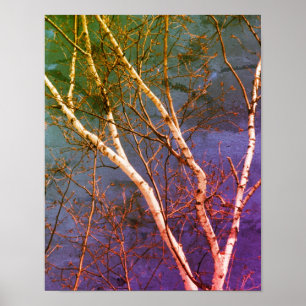 Póster Resumen perturbado del cielo azul del árbol birco 