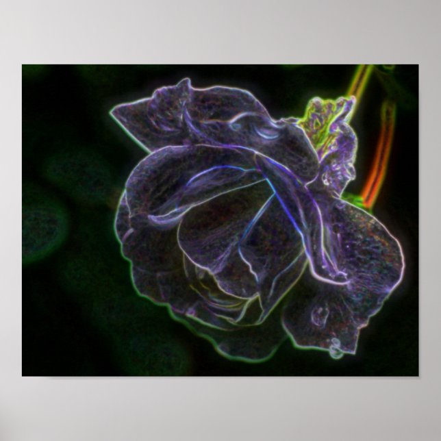 Póster Resumen Rosa morado Flor de fantasía (Frente)