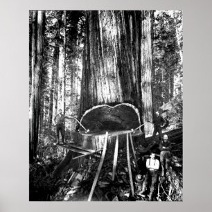 PÓSTER RETIRAR UN GIGANTE. 1890