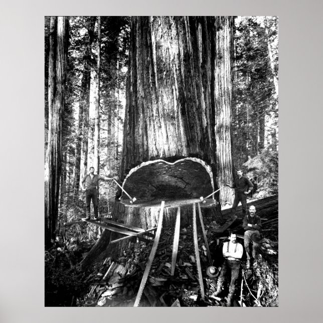 PÓSTER RETIRAR UN GIGANTE. 1890 (Frente)