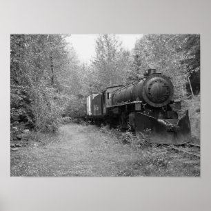 Póster Retired Steam Train