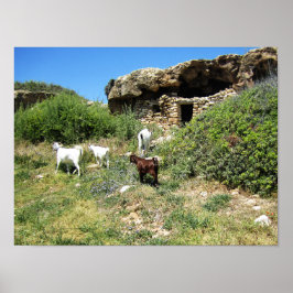 Póster Retiro de cabras