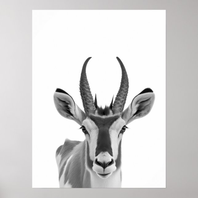 Póster Retrato animal del desierto de Pronghorn Antelope (Frente)