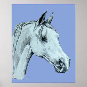 Póster Retrato árabe de lápiz de caballo sobre fondo azul