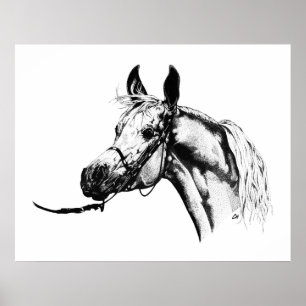 Póster Retrato árabe en pluma y tinta