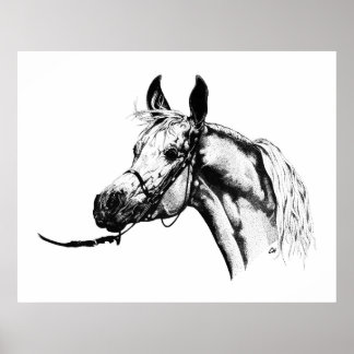 Póster Retrato árabe en pluma y tinta