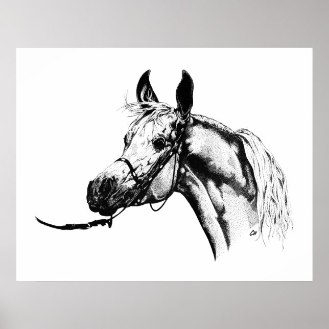 Póster Retrato árabe en pluma y tinta (Frente)