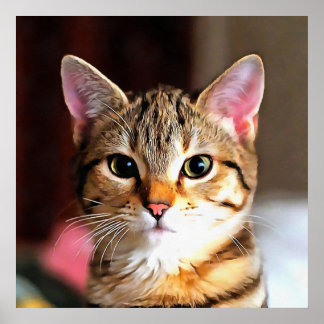 Póster Retrato artístico de gatos gatos gatos gatitos