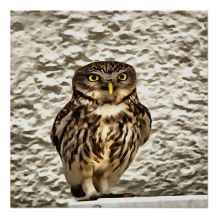 Póster Retrato artístico de la lechuza marrón pequeña