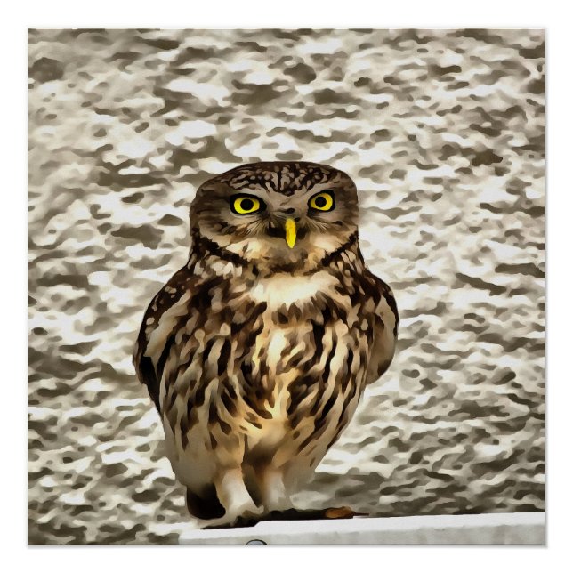 Póster Retrato artístico de la lechuza marrón pequeña (Anverso)