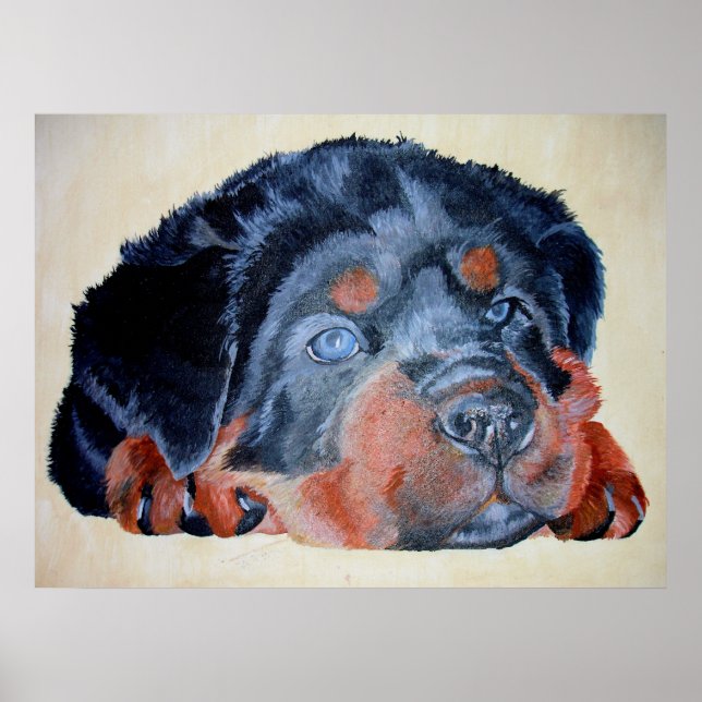 Póster Retrato artístico de Rottweiler Puppy Mascota (Frente)