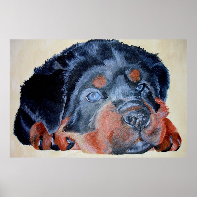 Póster Retrato artístico de Rottweiler Puppy Mascota (Frente)