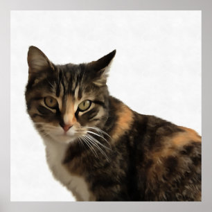 Póster Retrato artístico del gato del tabby sobre fondo b