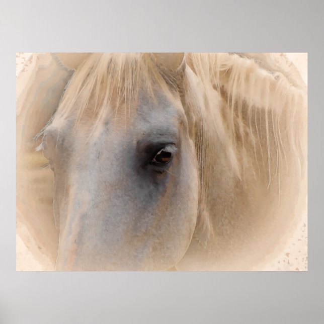 Póster Retrato blanco de caballo (Frente)
