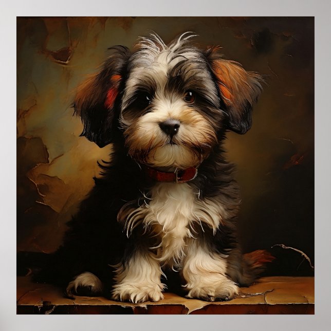 Póster Retrato cuadrado del realismo del cachorro haitian (Frente)