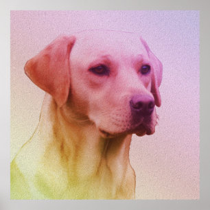 Póster Retrato de acuarela de perro recuperador de labrad